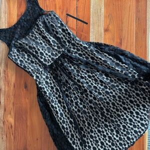 After Six Black and Cream cocktail Dress